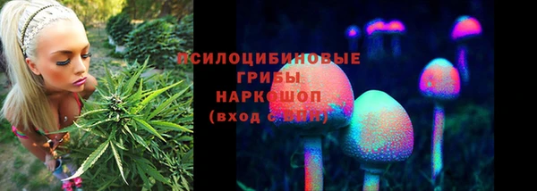 скорость Богородск