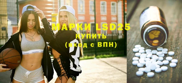 ПСИЛОЦИБИНОВЫЕ ГРИБЫ Щучье