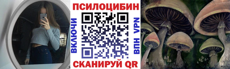 Галлюциногенные грибы Psilocybine cubensis  Купить где  Переславль-Залесский 